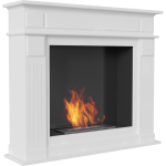 www-biokominek-november-on-1-960-960-1-0-0.png